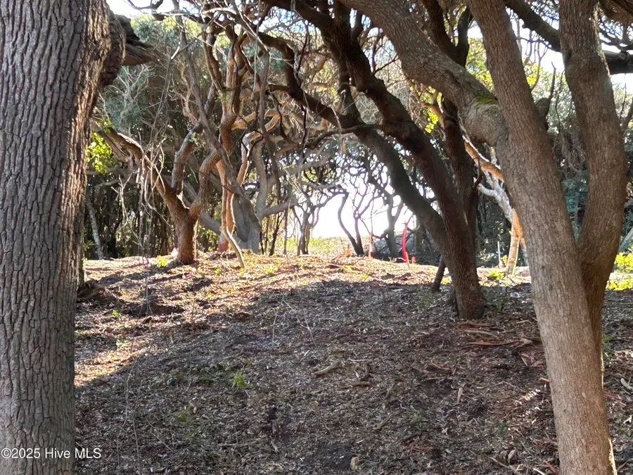 103 Roosevelt Reserve Park Place, Pine Knoll Shores, NC 28512 - Image #3