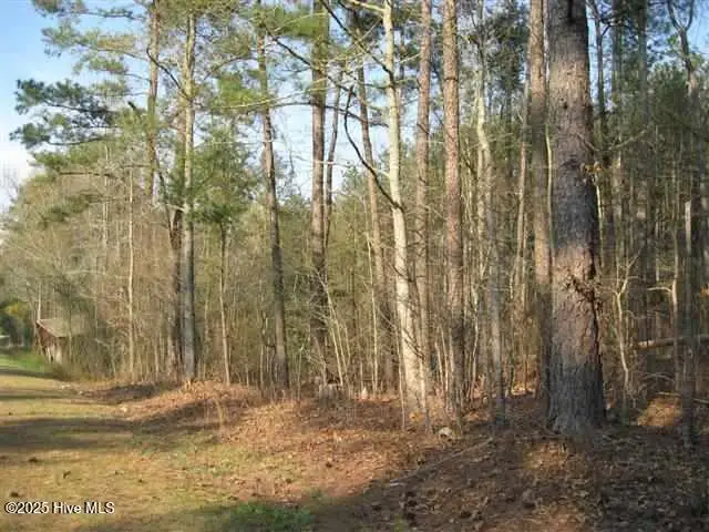 610 Gilchrist Road, Carthage, NC 28327 - Image #2