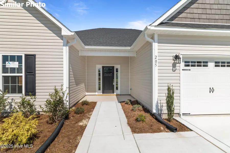 716 Puppy Drum Lane, Maysville, NC 28555 - Image #3