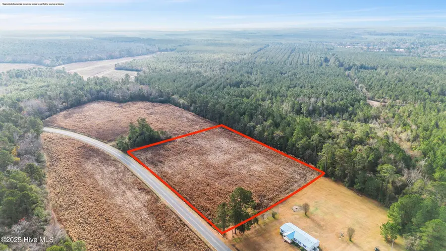 6.5ac Buckhorn Road, Willard, NC 28478 - Image #2