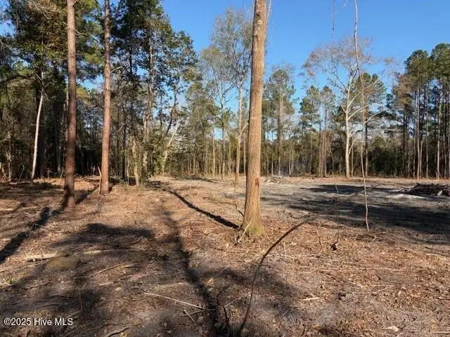 4402 Smith Trail Ne, Leland, NC 28451 - Image #1