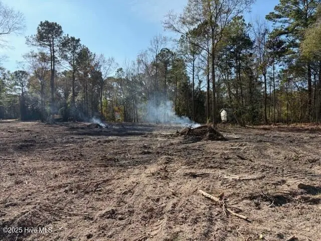 4402 Smith Trail Ne, Leland, NC 28451 - Image #3