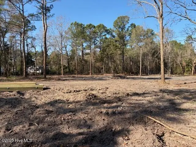 4403 Smith Trail Ne, Leland, NC 28451 - Image #2