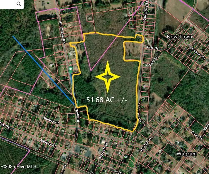 Tbd Hillcreek Road, Wagram, NC 28396 - Image #1