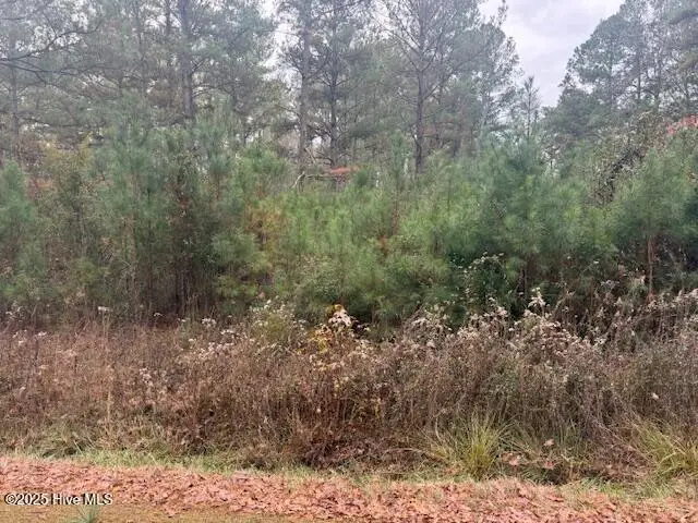 0 Wooded Acres Road, Lake Waccamaw, NC 28450 - Image #2