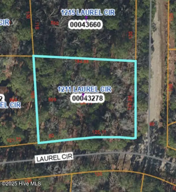 1211 Laurel Circle, Vass, NC 28394 - Image #3