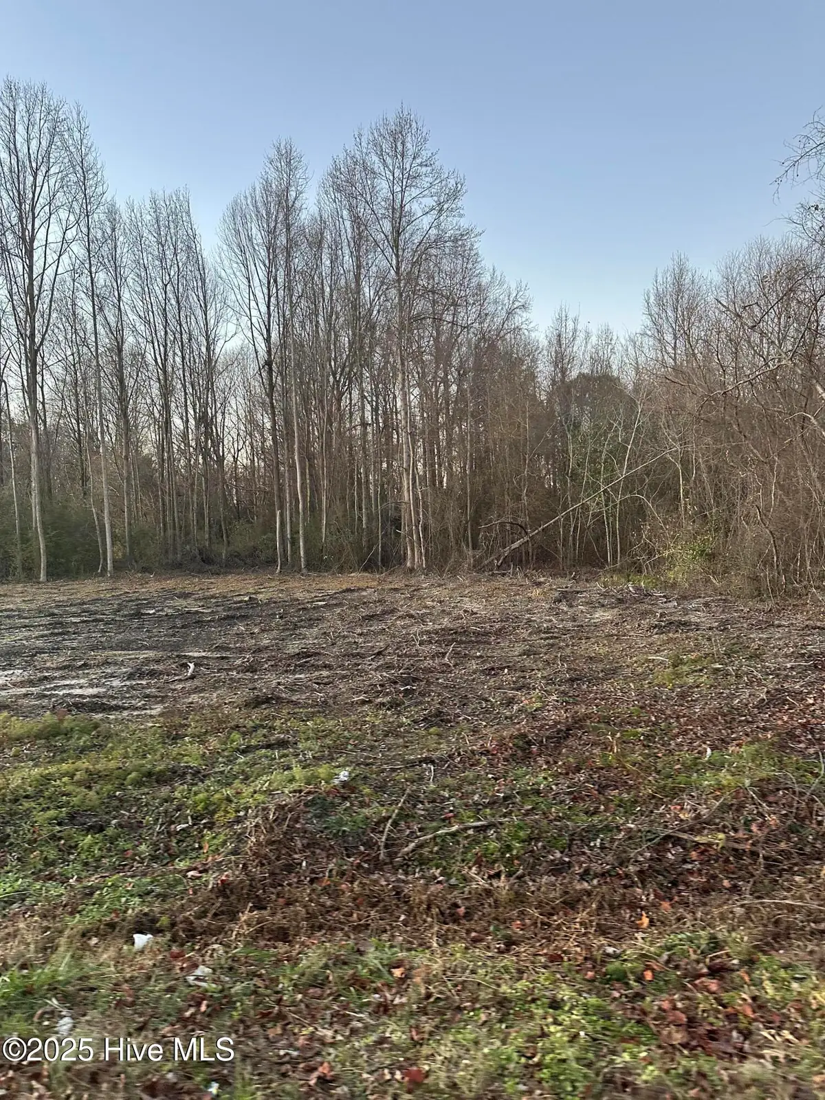 9585 Shallow Creek Trail, Bailey, NC 27807 - Image #1