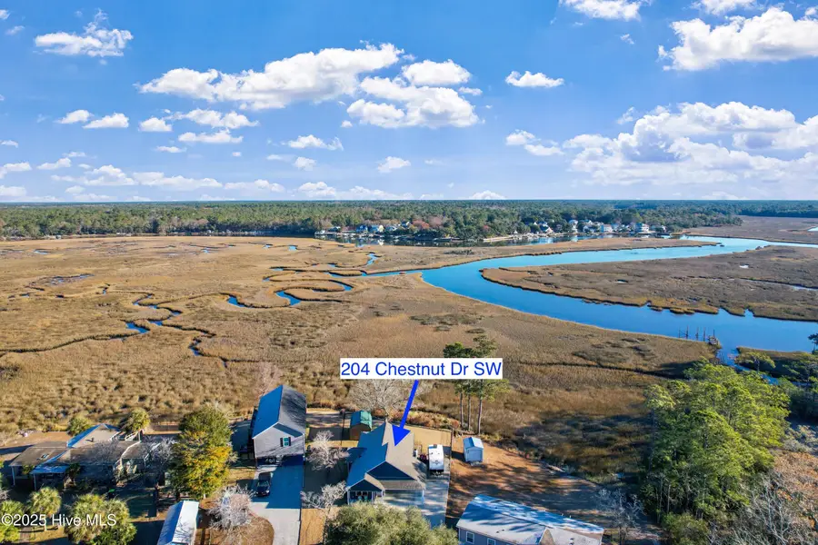 204 Chestnut Drive Sw, Supply, NC 28462 - Image #3