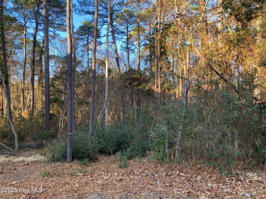 4 Belmont Court, Pinehurst, NC 28374 - Image #3