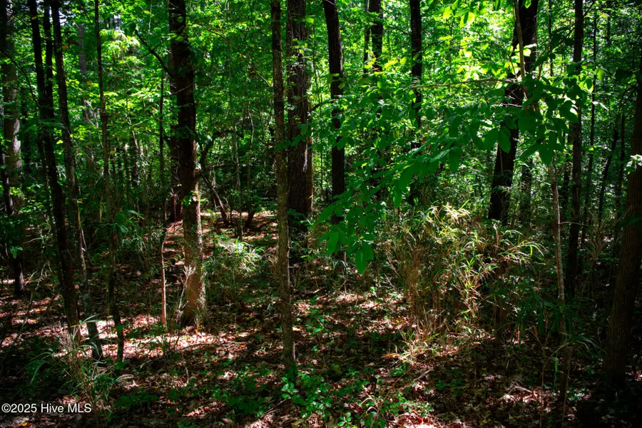 105 Shropshire Lane, Seven Lakes, NC 27376 - Image #2