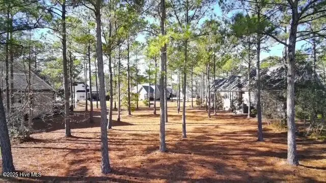 705 Creighton Circle Sw, Ocean Isle Beach, NC 28469 - Image #2