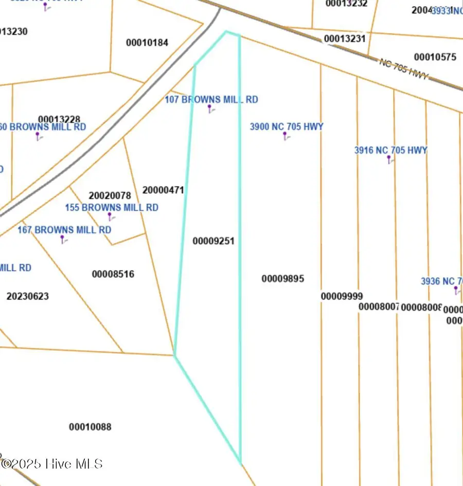 107 Browns Mill Road, Robbins, NC 27325 - Image #3