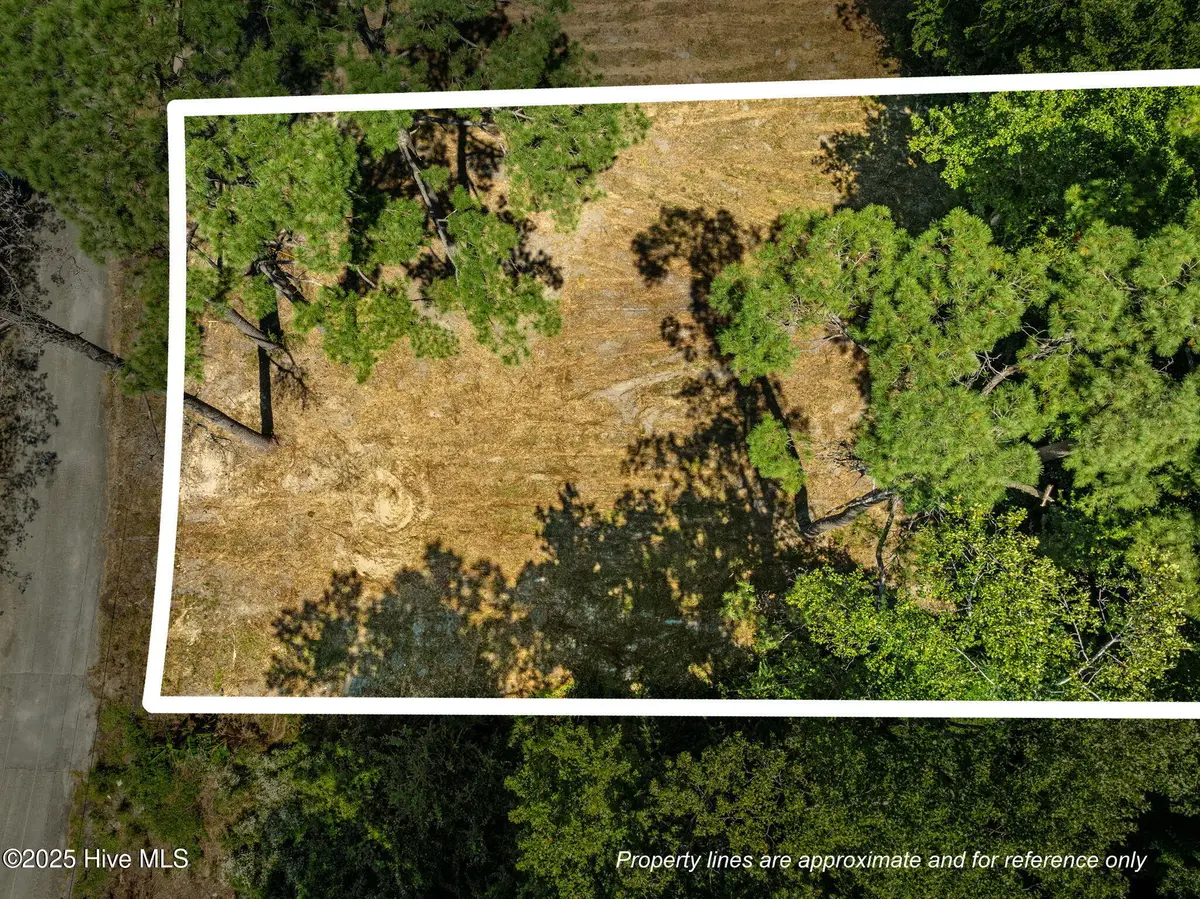 124 Jupiter Trail, Jacksonville, NC 28546 - #1