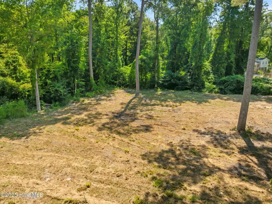 124 Jupiter Trail, Jacksonville, NC 28546 - #2