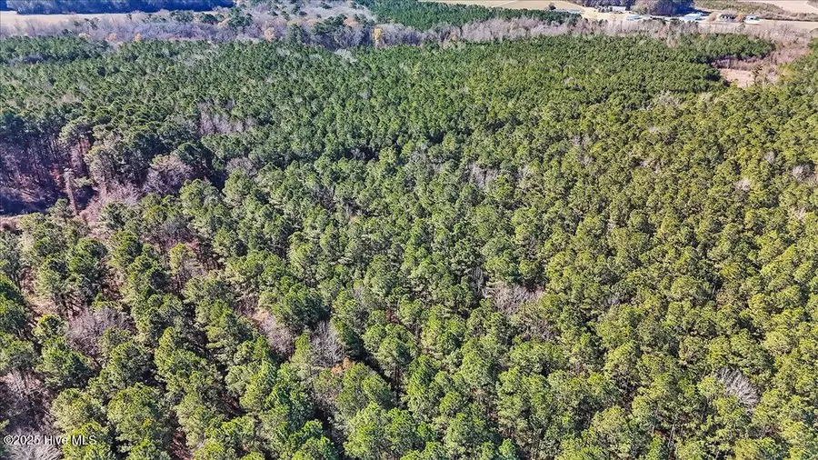 0 U.s. 158 Business, Gatesville, NC 27938 - Image #2