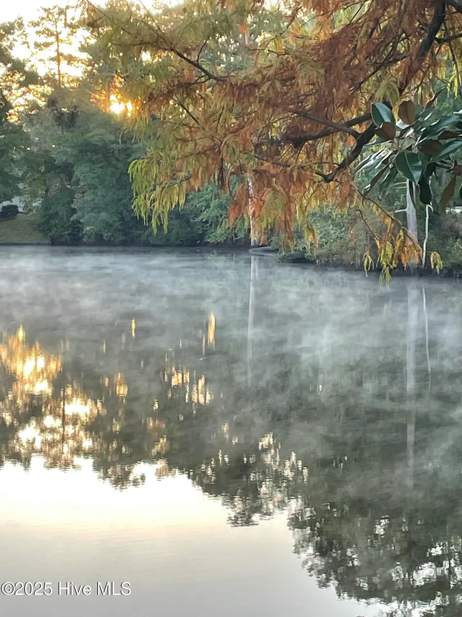 302 W Wilson Creek Drive, Trent Woods, NC 28562 - Image #3