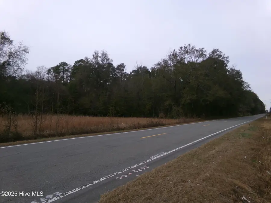 Lot 1 Ivanhoe Road, Harrells, NC 28444 - Image #2