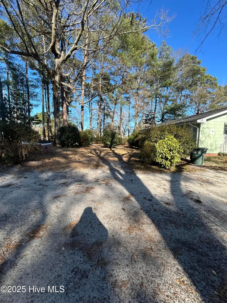 206 Waldrop Road, Dudley, NC 28333 - Image #2