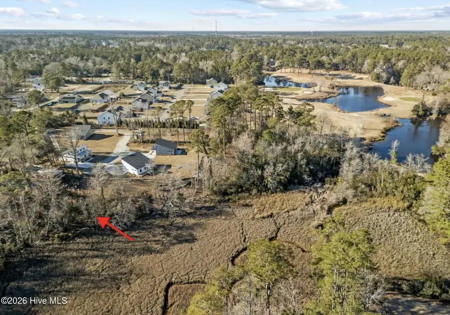 5 Tide Landing Court, Hampstead, NC 28443 - Image #3