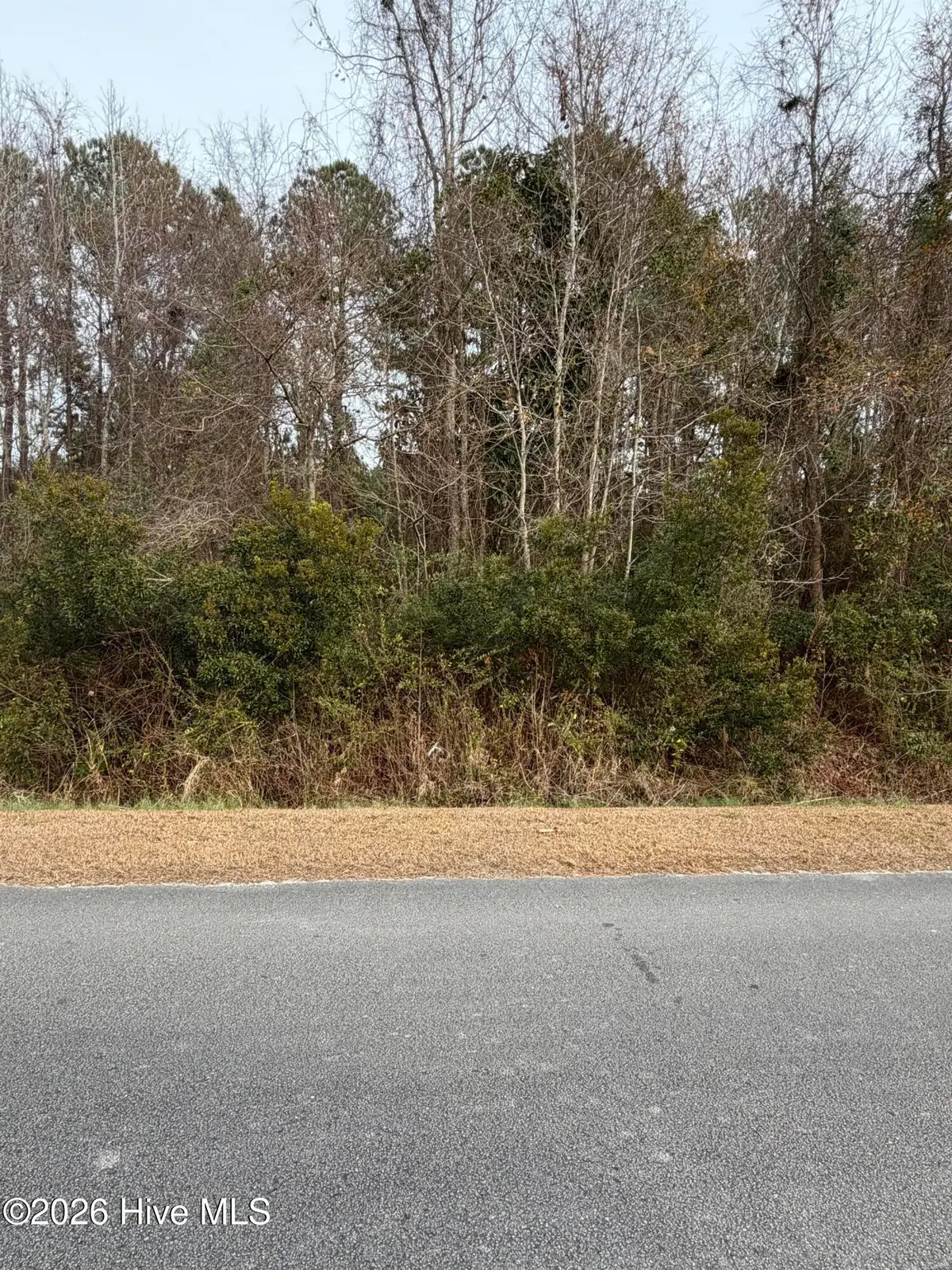 0 Joans Haven Drive, Newport, NC 28570 - Image #1