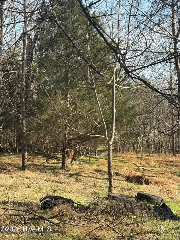 125 S Masonic Street, Pittsboro, NC 27312