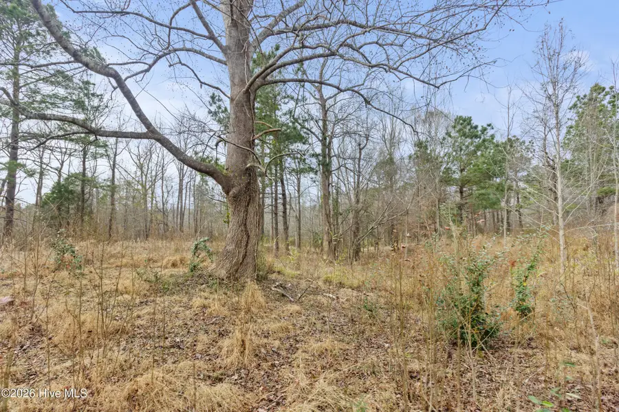 2711 Old Airport Road, New Bern, NC 28562 - Image #3