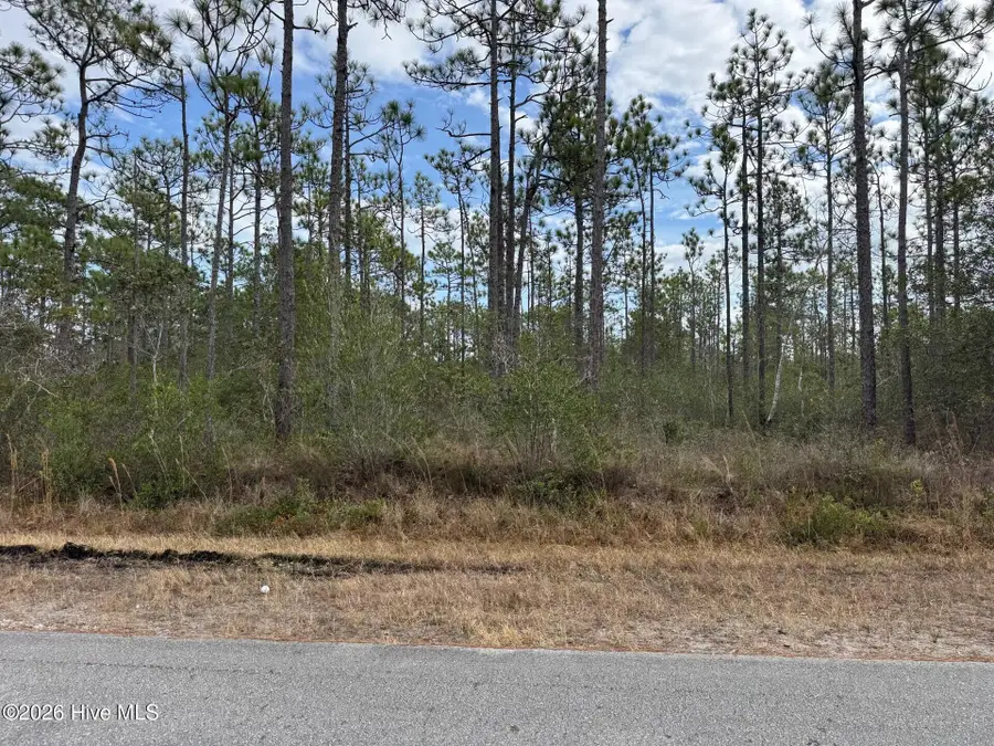 Lot 22 Pepperhill Road, Southport, NC 28461 - Image #2