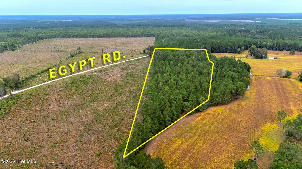 10.57 Ac Egypt Road Nw, Ash, NC 28420 - Image #1