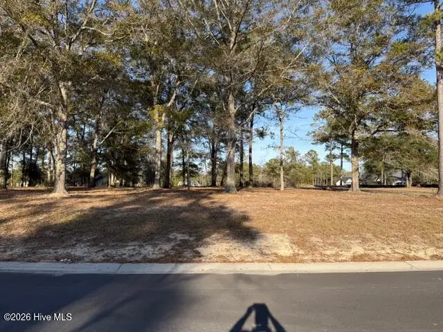 7504 Donegal Circle Sw, Sunset Beach, NC 28468 - Image #3