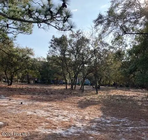 595 Maritime Way Sw, Supply, NC 28462 - Image #1