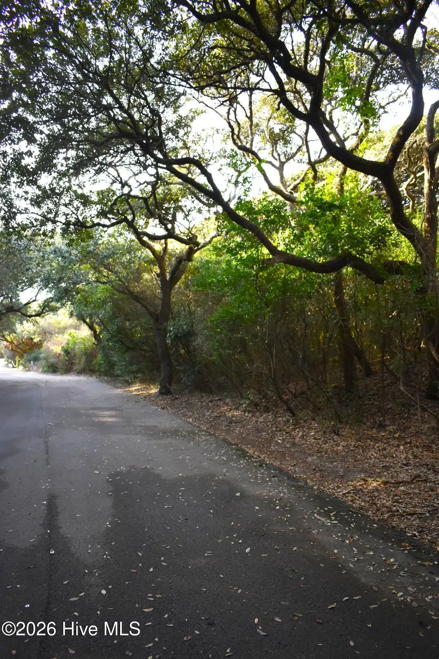 118 Sea Isle Drive, Indian Beach, NC 28512 - Image #2