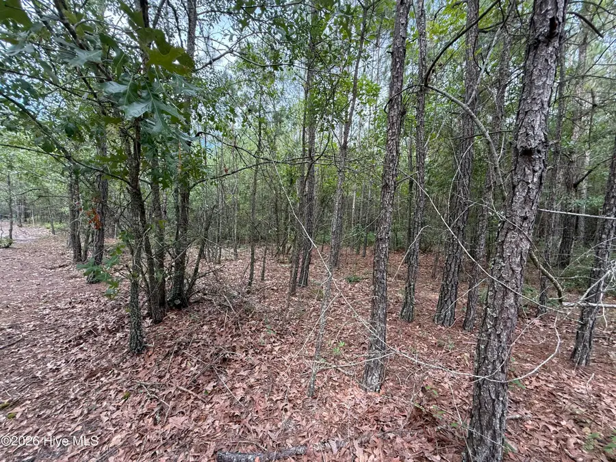 2162 Old Pamlico Beach Road W, Belhaven, NC 27810 - Image #3