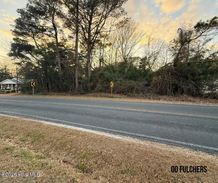 175 Fulcher Landing Road, Sneads Ferry, NC 28460 - Image #3