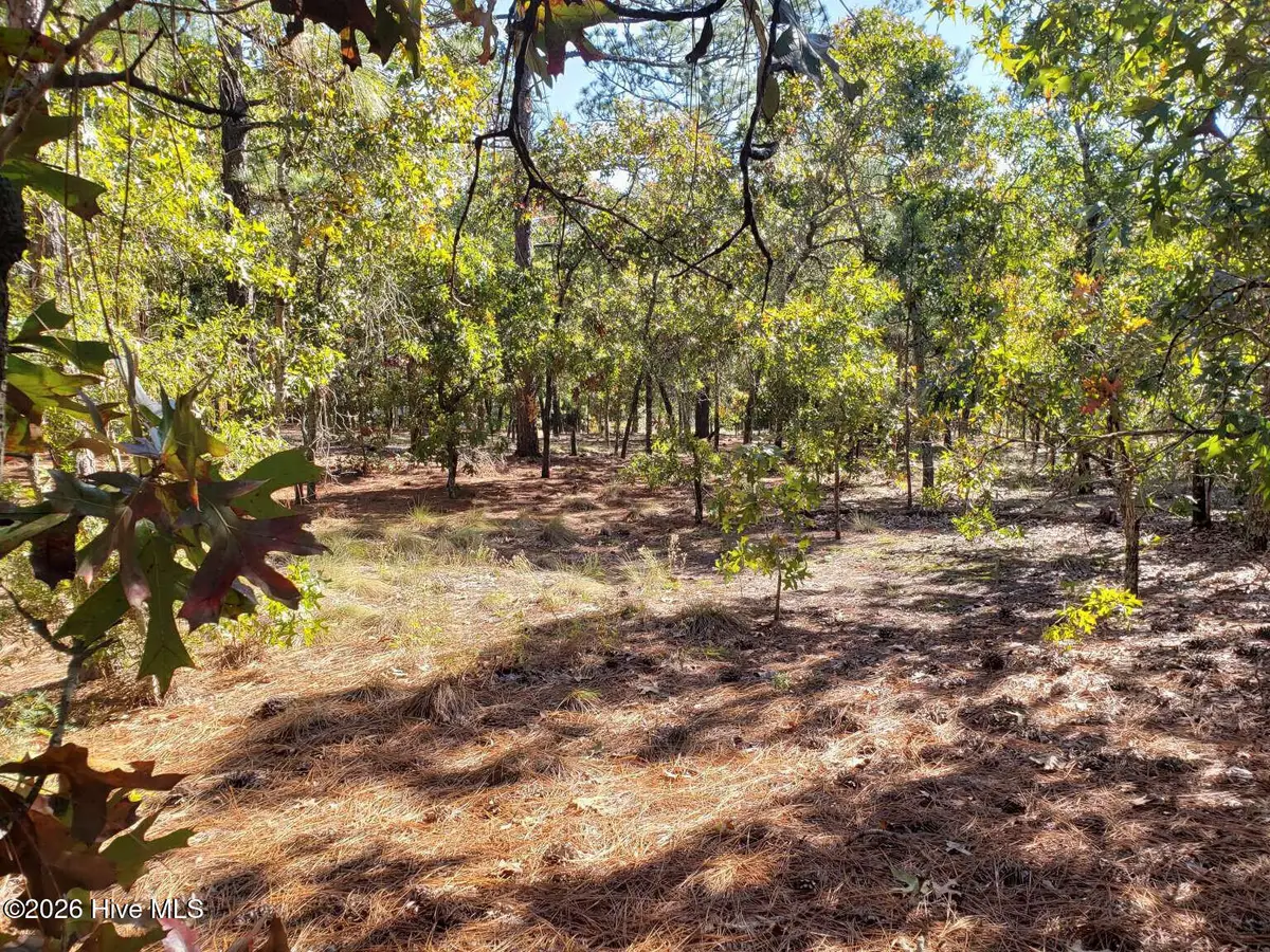 325 Fieldcrest Road, Southern Pines, NC 28387 - Image #1