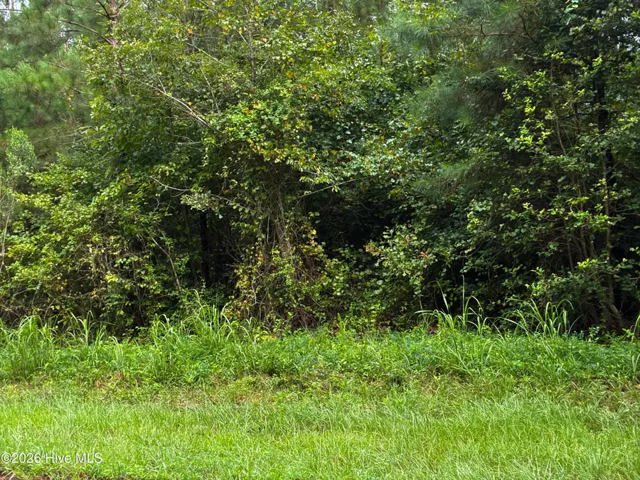 00 Briggs Road, Cameron, NC 28326 - Image #2