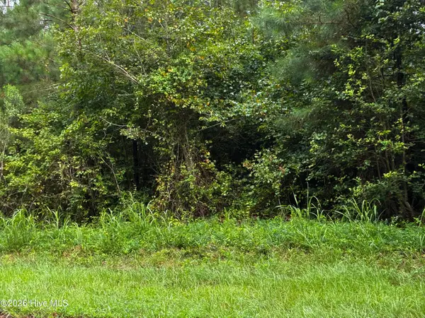 0 Briggs Road, Cameron, NC 28326