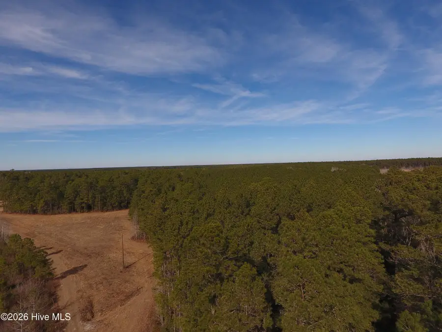 0 Near 8790 Green Swamp Road S, Bolton, NC 28423 - Image #2