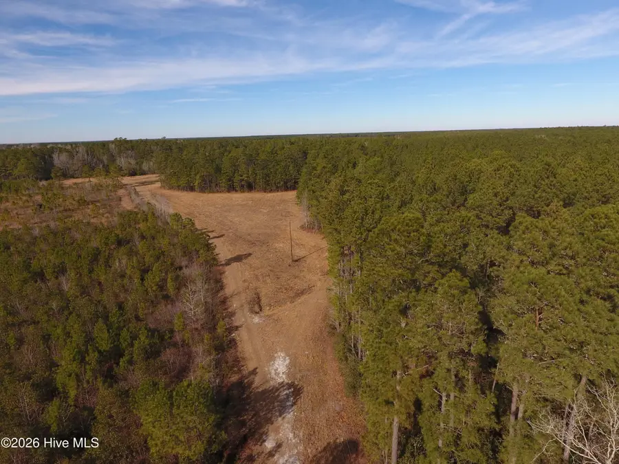 0 Near 8790 Green Swamp Road S, Bolton, NC 28423 - Image #3