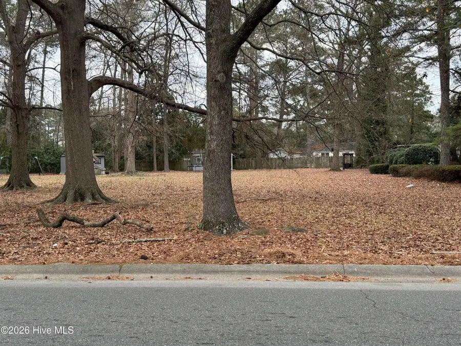 Lot 45 Ninth Street, Goldsboro, NC 27434 - Image #2