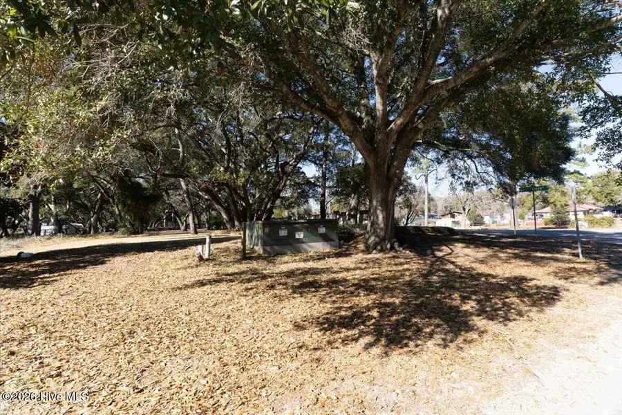 Lot 1 Stone Ballast Way, Ocean Isle Beach, NC 28469 - #2