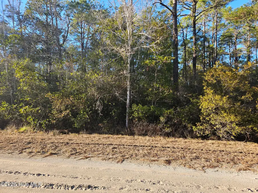 Lot 68 New Hanover Road, Boiling Spring Lakes, NC 28461 - Image #2