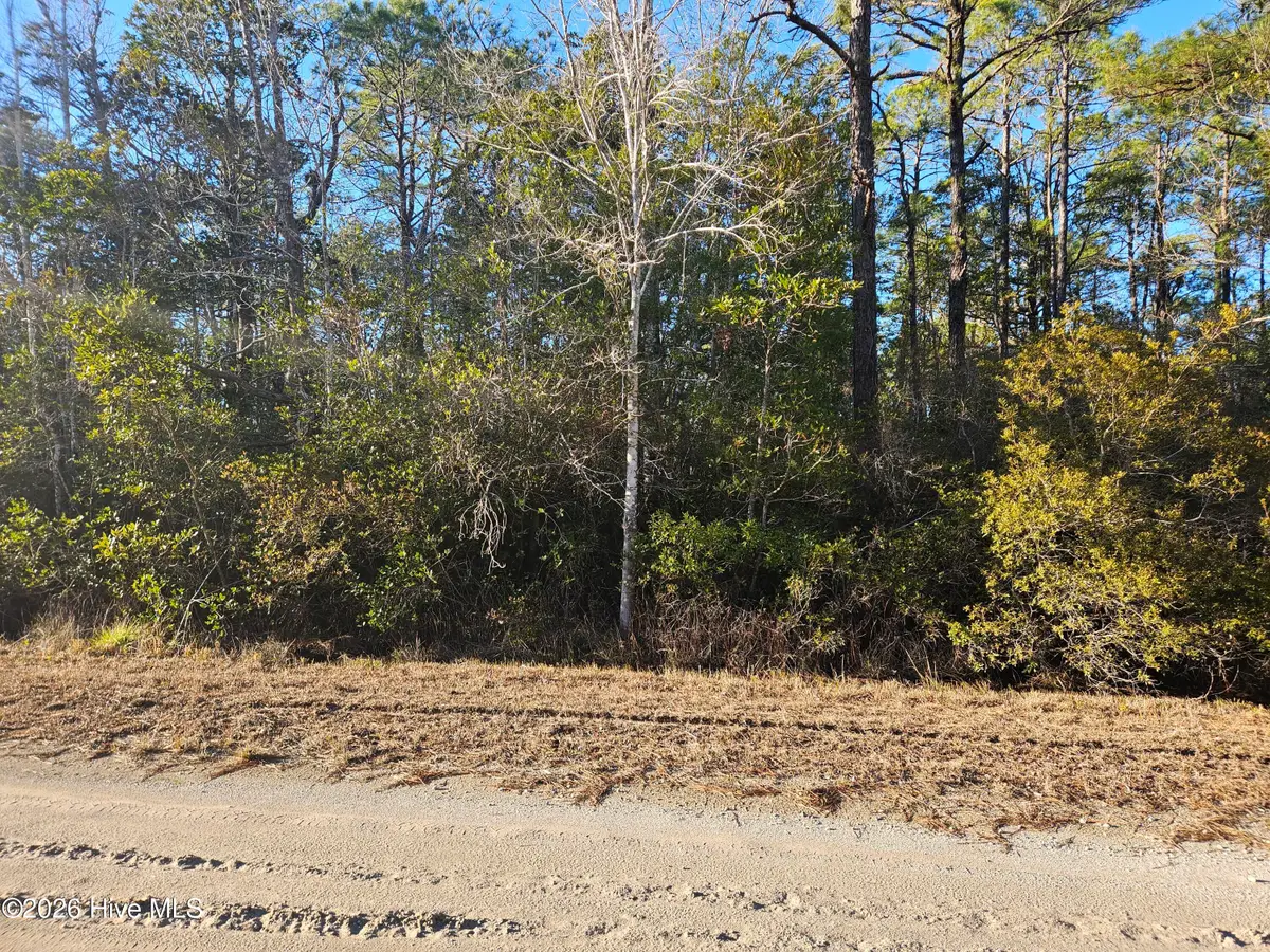 Lot 69 New Hanover Road, Boiling Spring Lakes, NC 28461 - Image #1
