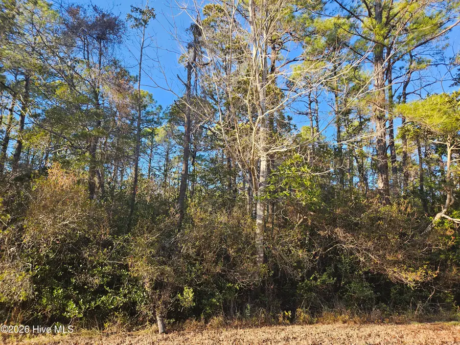 Lot 69 New Hanover Road, Boiling Spring Lakes, NC 28461 - Image #3