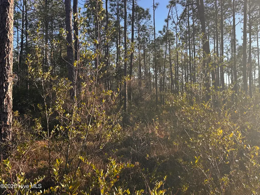 568 Grape Road, Southport, NC 28461 - Image #2