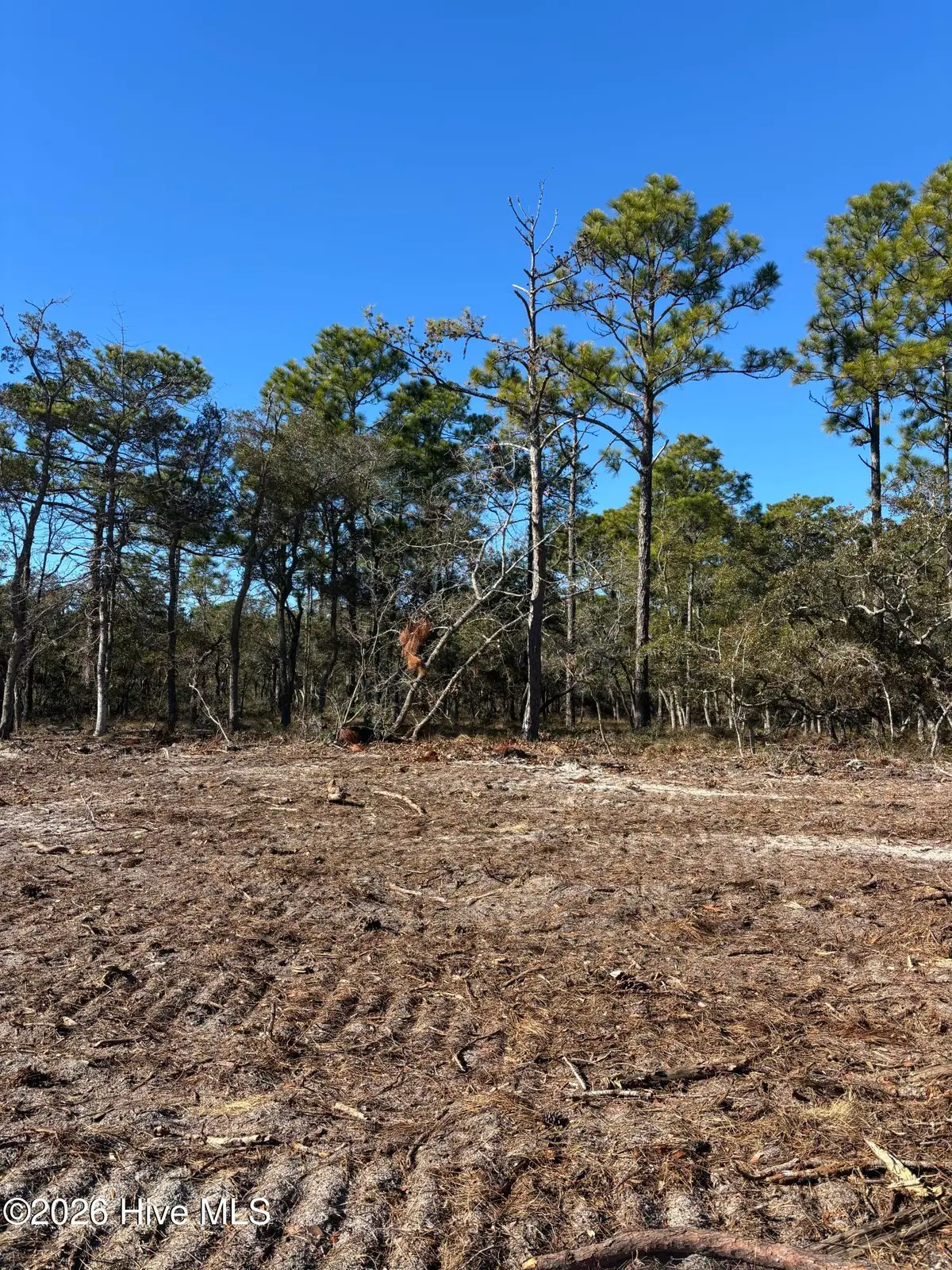 Lot 122 Coral Gull Street, Southport, NC 28461 - #1