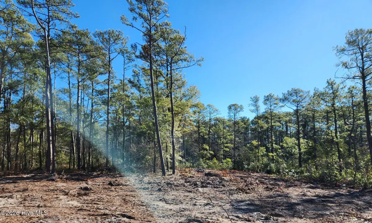 Lot 134 Coral Gull Street, Southport, NC 28461 - #1