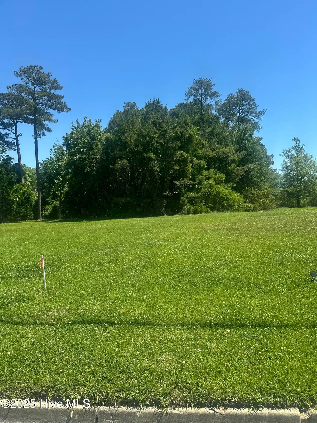 112 Court Street, Jacksonville, NC 28540 - #1