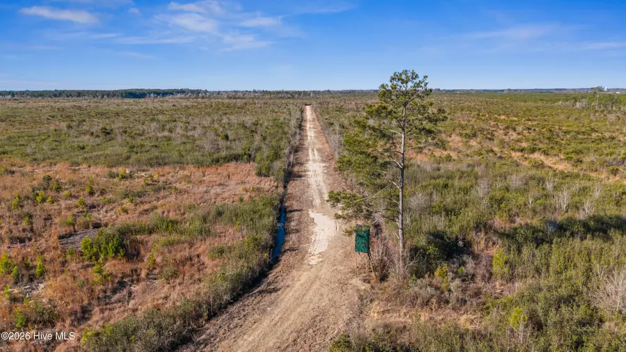 700 Acres Earl Davis Road, Rose Hill, NC 28458 - Image #2