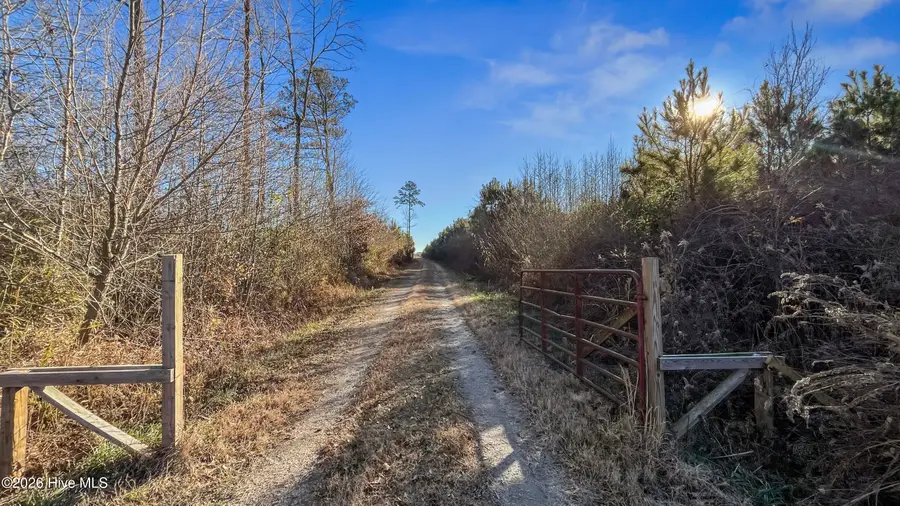 700 Acres Earl Davis Road, Rose Hill, NC 28458 - Image #3