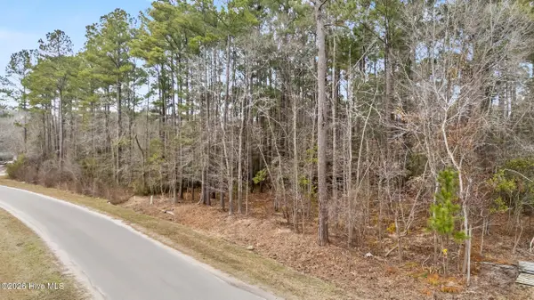 Lot 4 Copperhead Lane, Burgaw, NC 28425